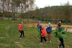 IMG_20231010_134953