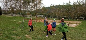 IMG_20231010_134953