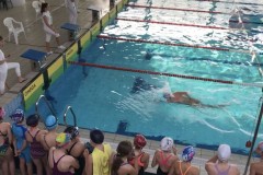 Igrzyska w pływaniu 11.2018