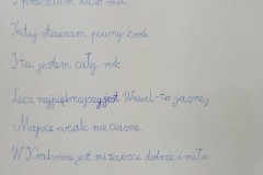 Kraków w wierszu