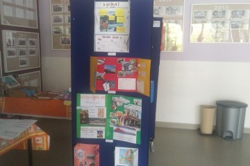 20251016_110339_HDR 20251016_110339_HDR