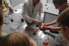 IMG_20230929_093818