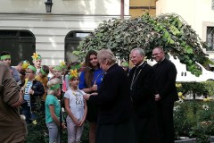 Żonkilowa akcja 09.2018