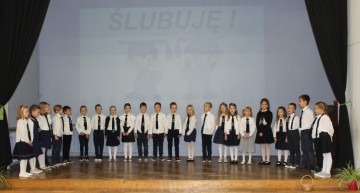1c