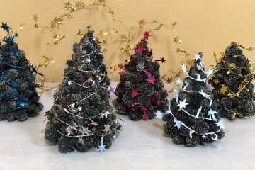 IMG_0117