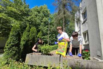 IMG-20260529-WA0002