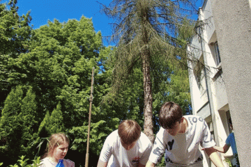 IMG-20260529-WA0004