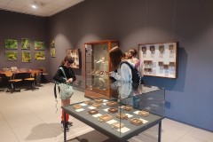 IMG_20230616_092011