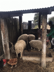 received_2772794556196177