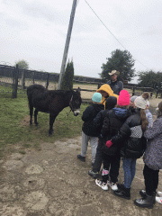 received_356154013652366